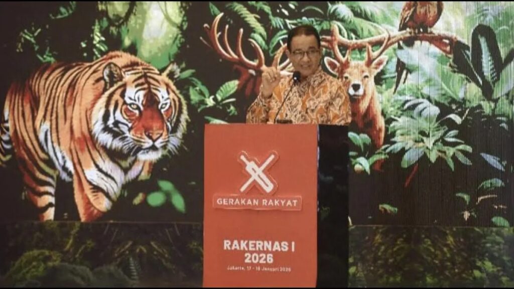 Deforestasi Legal Tinggi Masih Membayangi, Izin Resmi Jadi Pendorong Utama Hilangnya Hutan