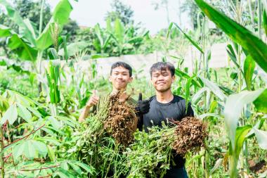 Fakultas Pertanian Ma'soem University: Menghasilkan Generasi Unggul di Bidang Pertanian
